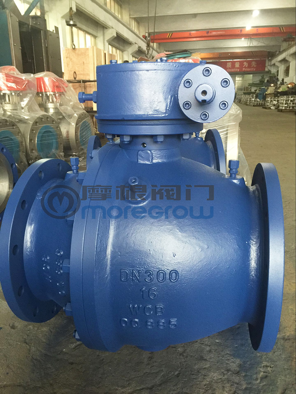 �T����y,�T����y�S��