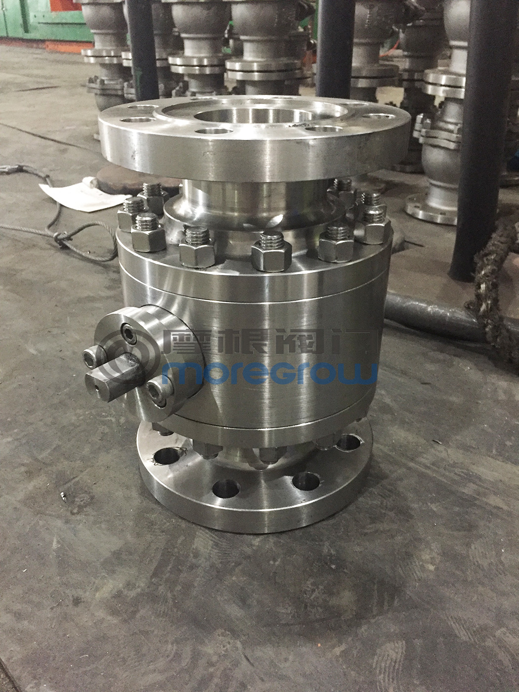 �߉�呲��P����y